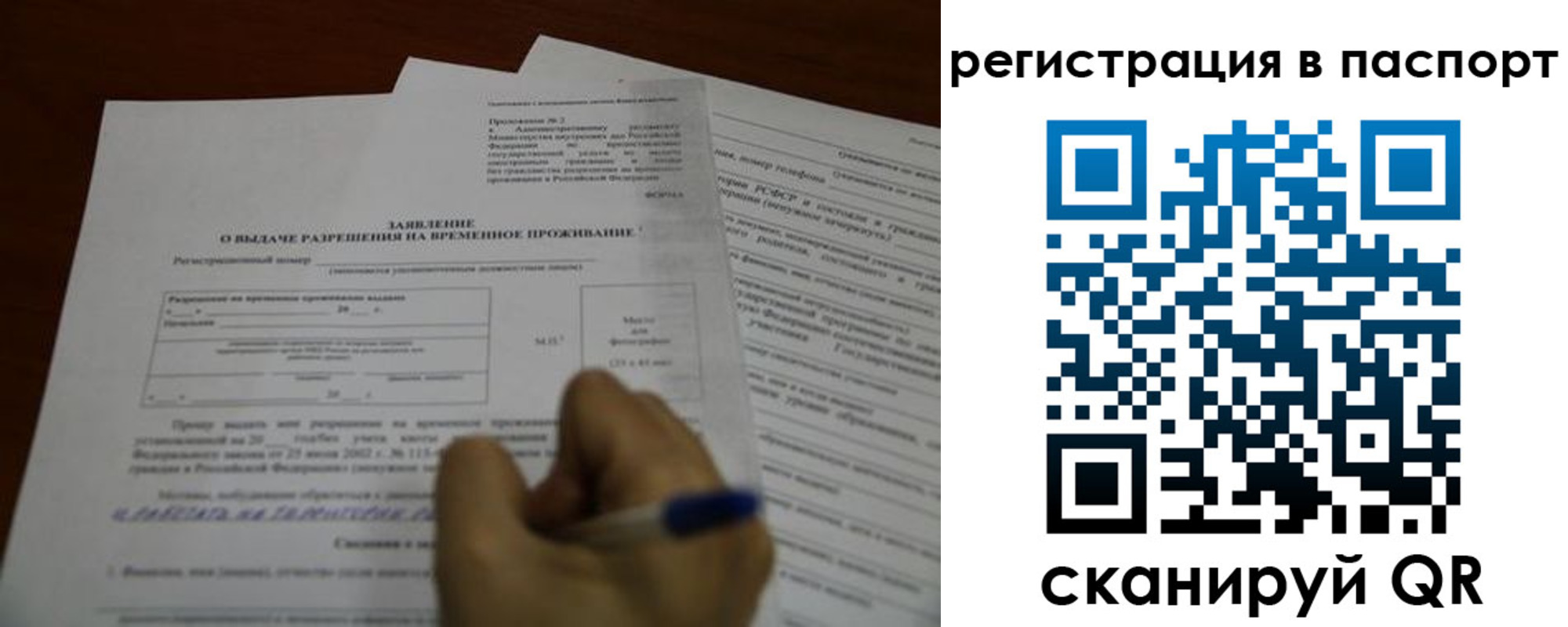 временная регистрация гарантия в Королёве
